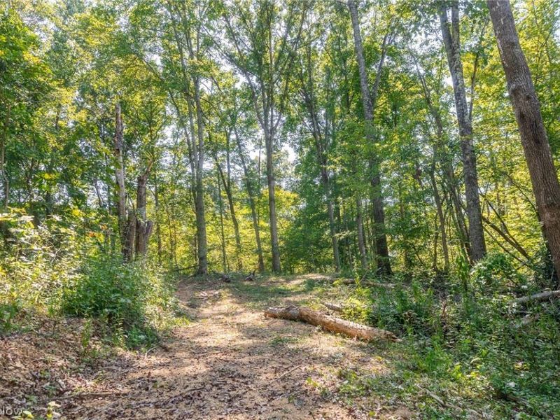 0 4 County Rd 269, Glouster, OH 43730 Photo 6