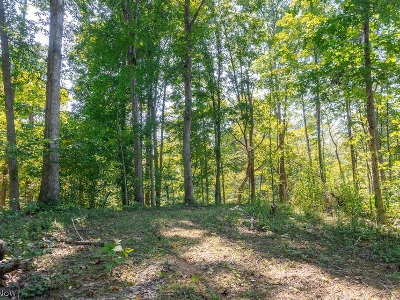 0 4 County Rd 269, Glouster, OH 43730 Photo 7