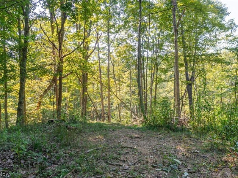 0 4 County Rd 269, Glouster, OH 43730 Photo 9