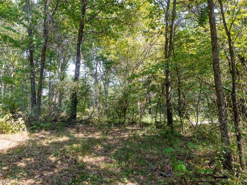 0 3 County Rd 269, Glouster, OH 43730 Photo 10