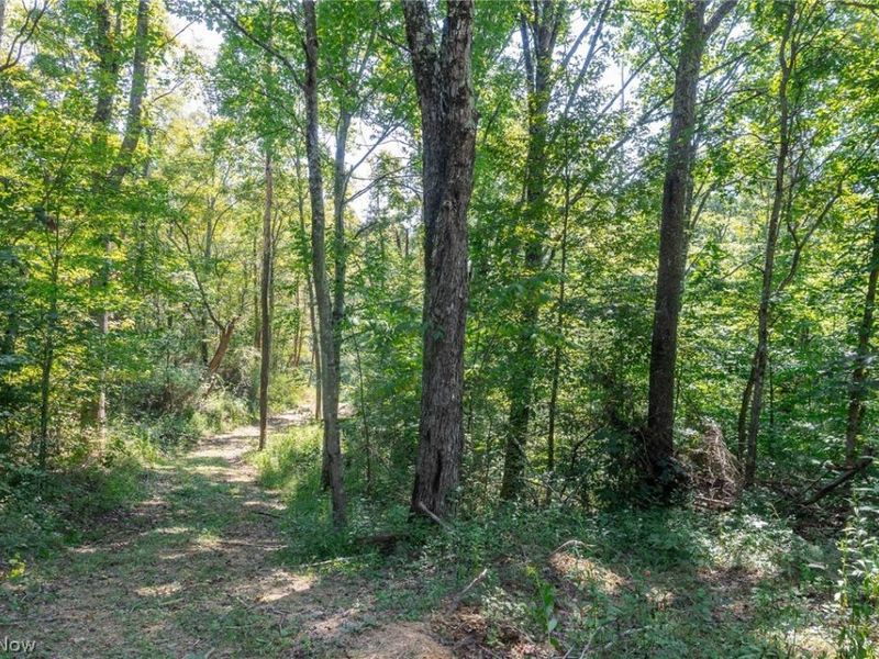 0 3 County Rd 269, Glouster, OH 43730 Photo 11