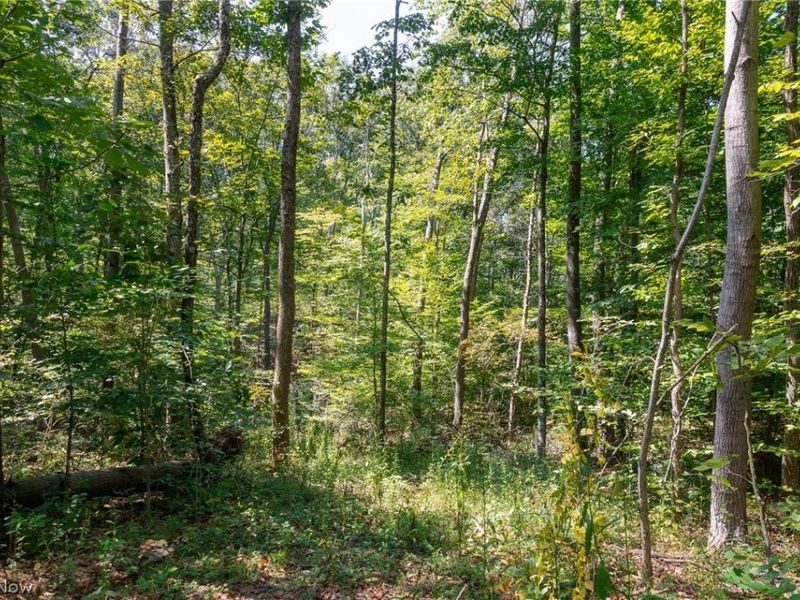 0 3 County Rd 269, Glouster, OH 43730 Photo 12