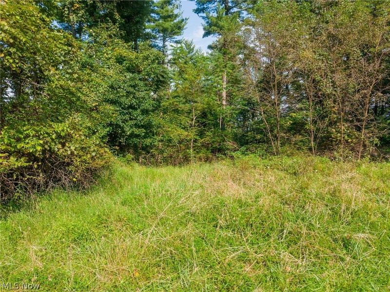 0 3 County Rd 269, Glouster, OH 43730 Photo 18