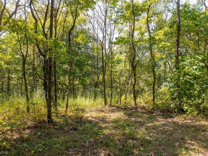 0 3 County Rd 269, Glouster, OH 43730 Photo 5