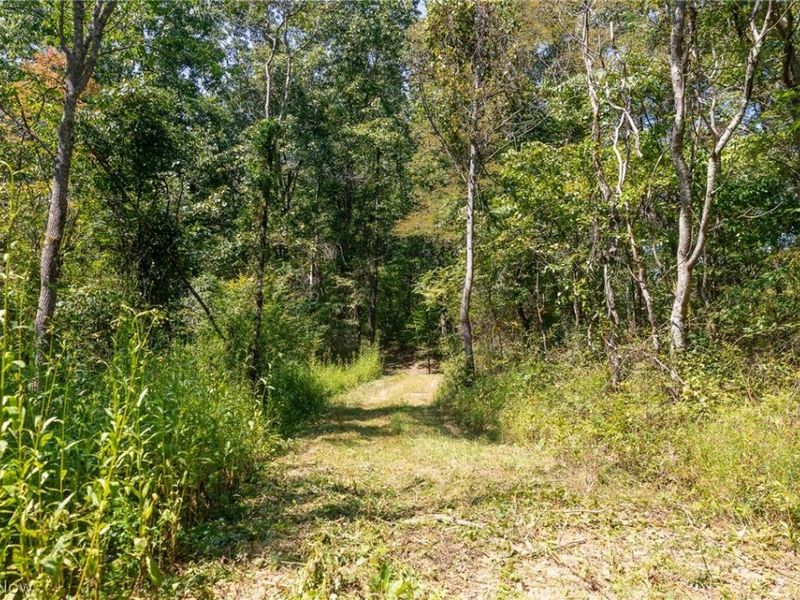 0 3 County Rd 269, Glouster, OH 43730 Photo 6