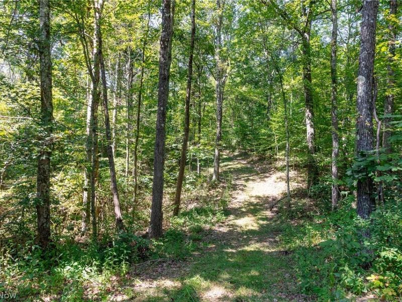 0 3 County Rd 269, Glouster, OH 43730 Photo 7