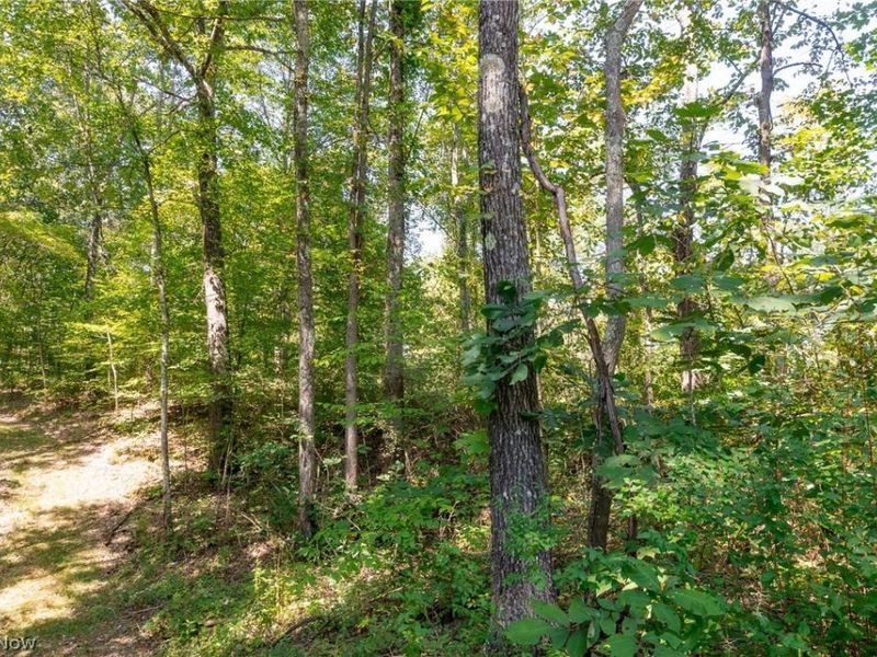 0 3 County Rd 269, Glouster, OH 43730 Photo 8