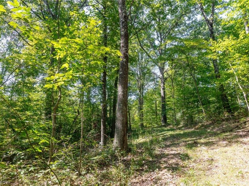 0 3 County Rd 269, Glouster, OH 43730 Photo 9