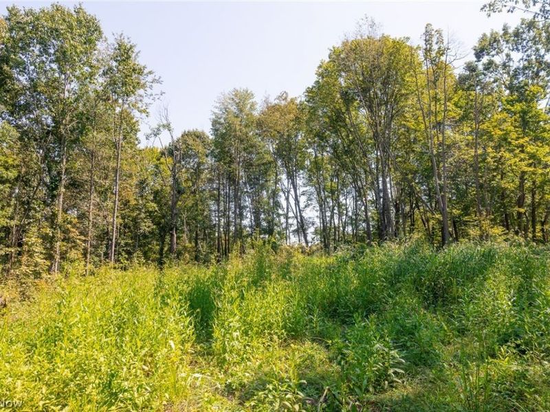 0 1 County Rd 269, Glouster, OH 43730 Photo 13