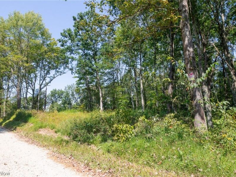 0 1 County Rd 269, Glouster, OH 43730 Photo 4