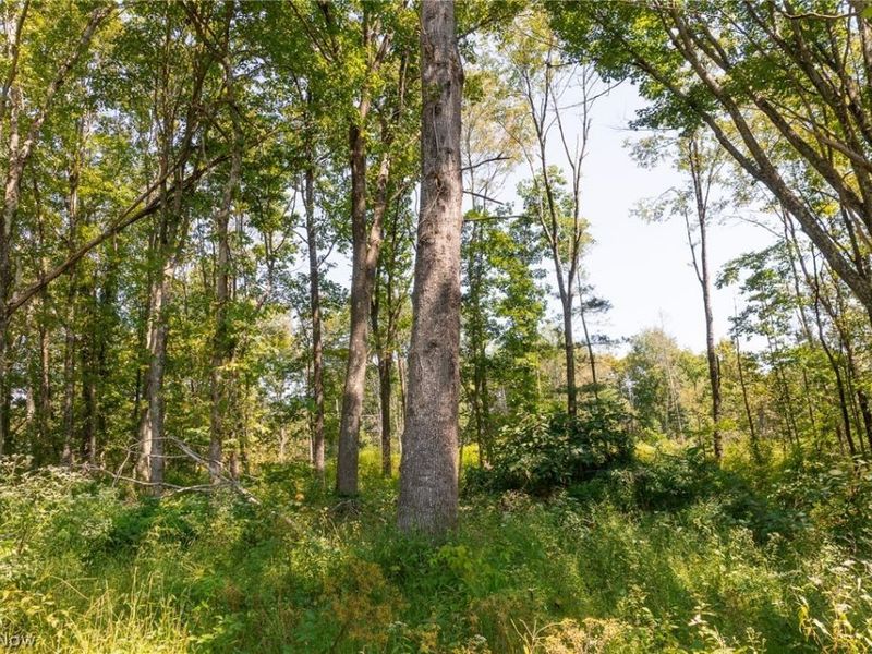 0 1 County Rd 269, Glouster, OH 43730 Photo 5