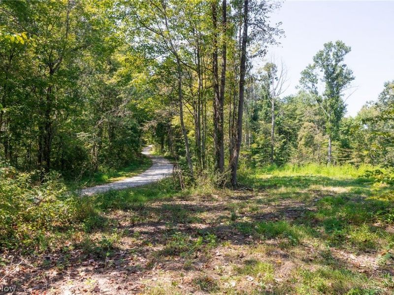 0 1 County Rd 269, Glouster, OH 43730 Photo 6