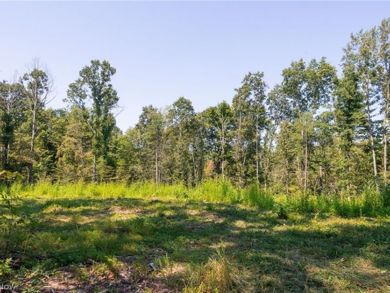 0 1 County Rd 269, Glouster, OH 43730 Photo 7