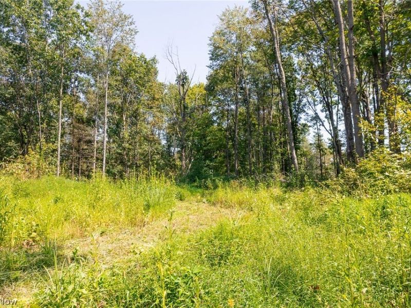 0 1 County Rd 269, Glouster, OH 43730 Photo 8