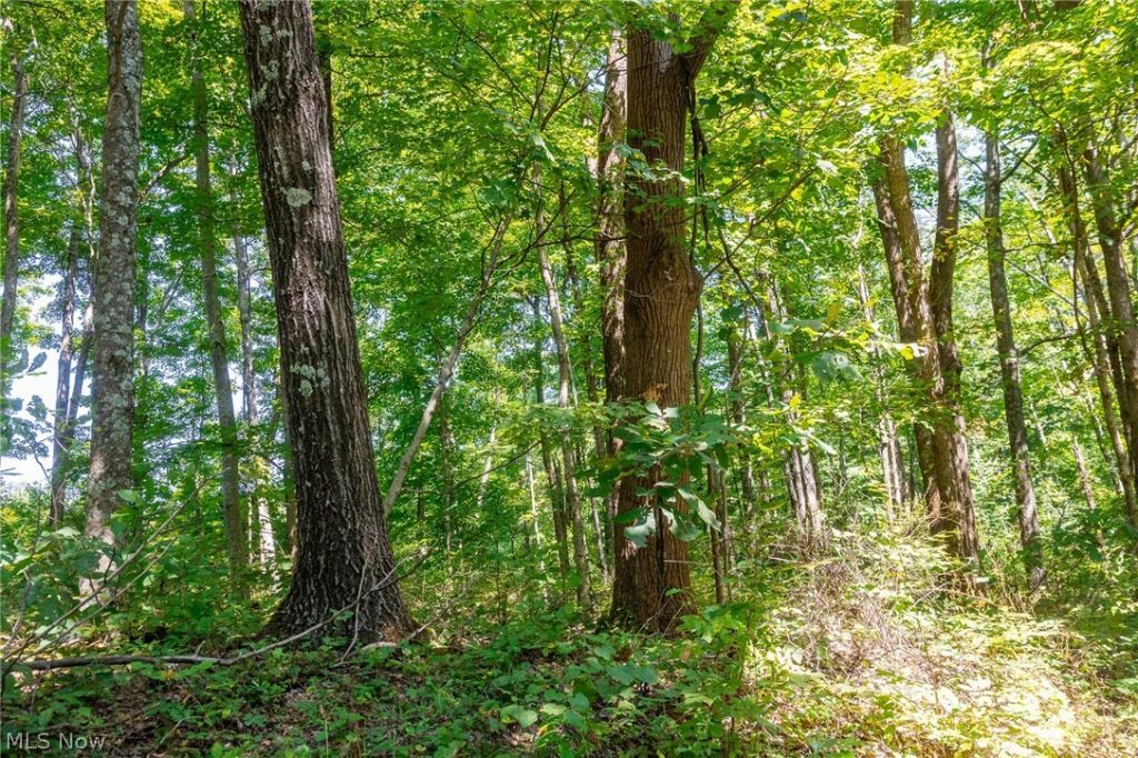 County Rd 269 , Glouster, OH 43730