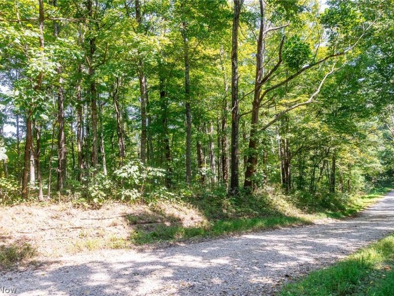 County Rd 269, Glouster, OH 43730 Photo 3
