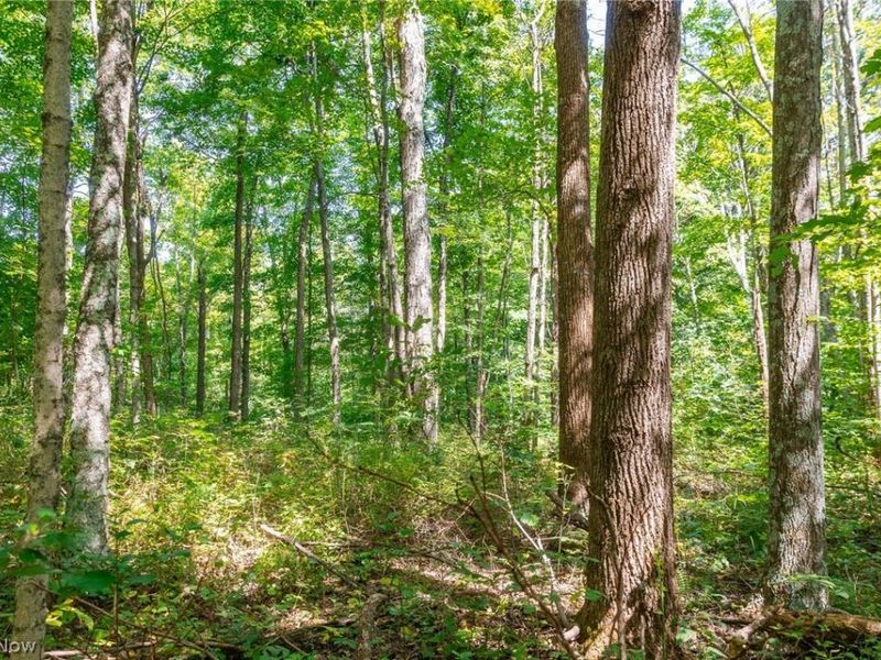 County Rd 269, Glouster, OH 43730 Photo 5