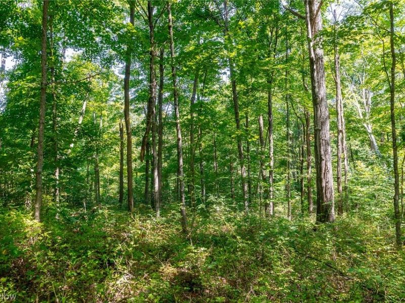 County Rd 269, Glouster, OH 43730 Photo 8