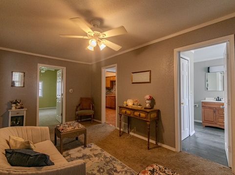 Main Photo