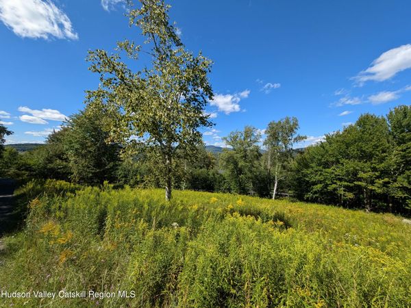 L38 Panarama Lane, Windham, NY 12496