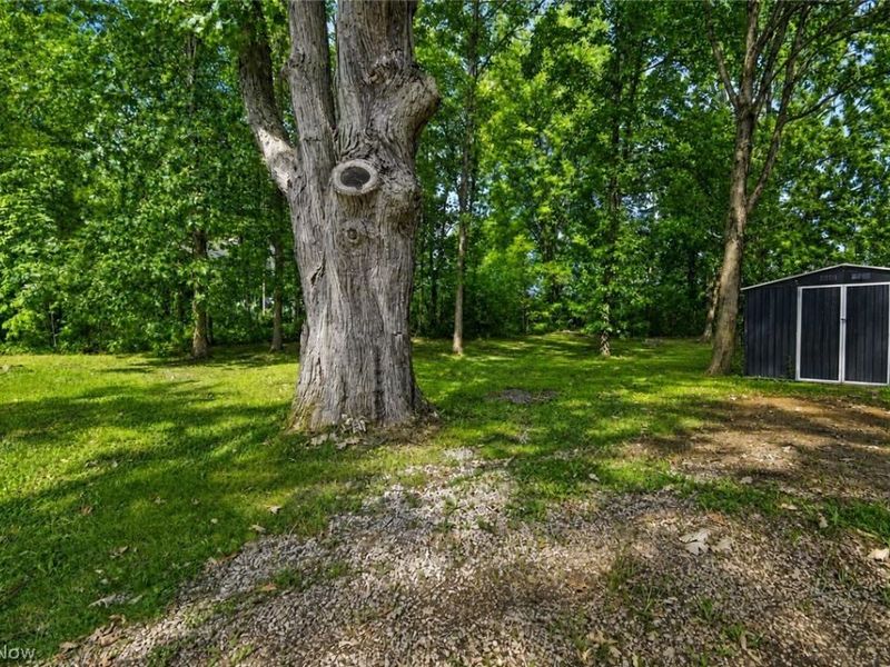 1355 Lake Vue, Roaming Shores, OH 44085 Photo 36
