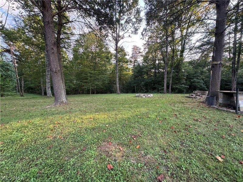 28175 Huckleberry Road, Coolville, OH 45723 Photo 3