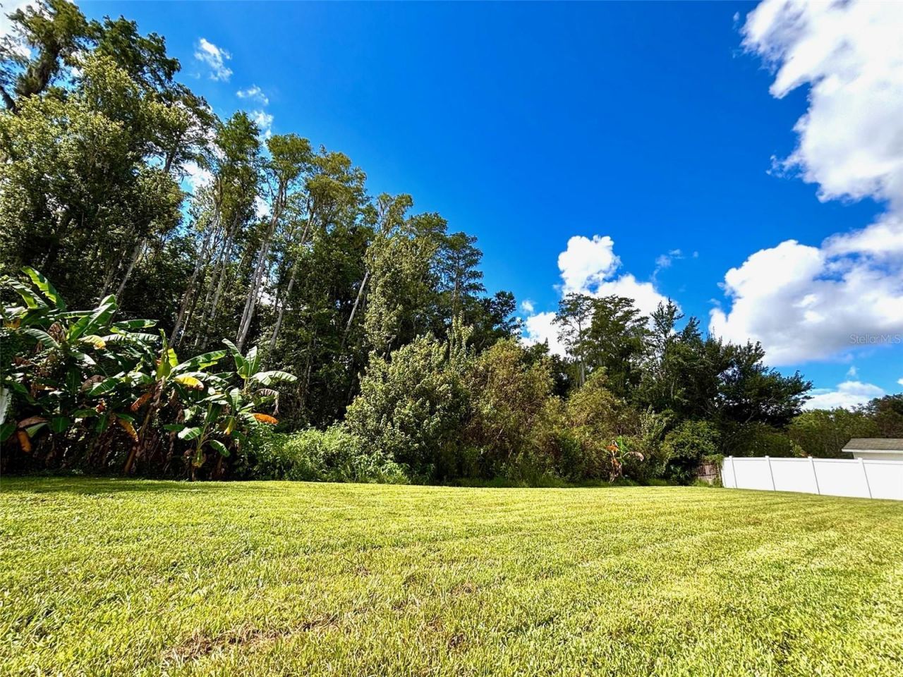 4545 Debbie Lane , Lutz, FL 33559 Photo