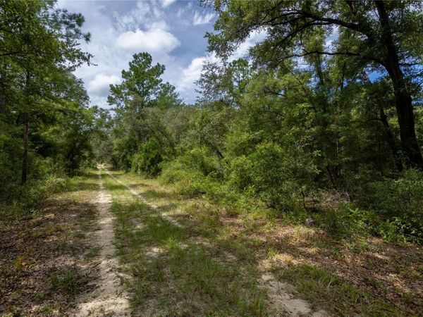 0 NE 81ST STREET , BRONSON, FL 32621