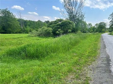 00 Oregon Road , Gilbertsville, NY 13776