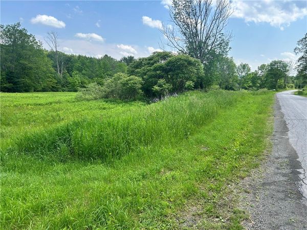 00 Oregon Road , Gilbertsville, NY 13776