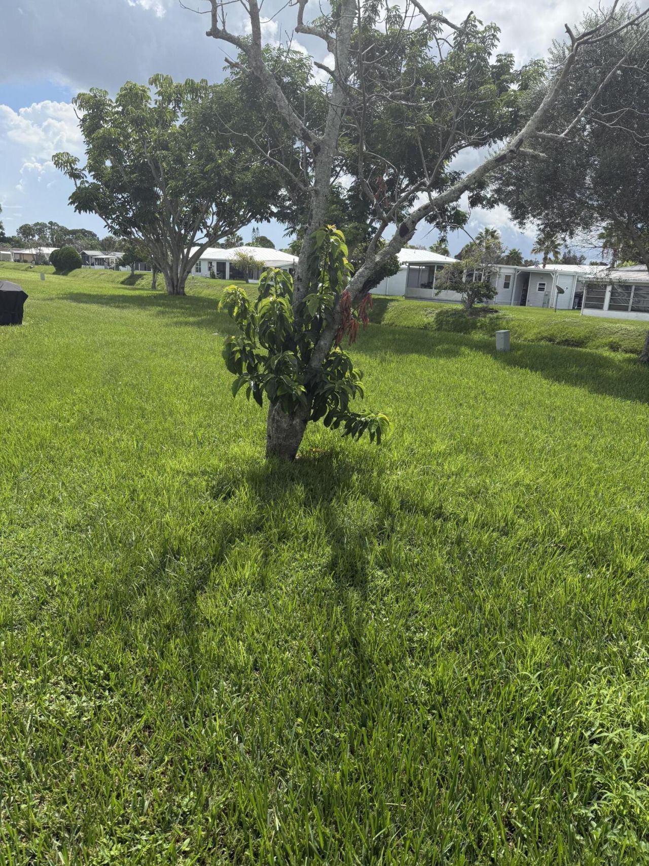 59 El Camino Real, Port Saint Lucie, FL 34952 Photo