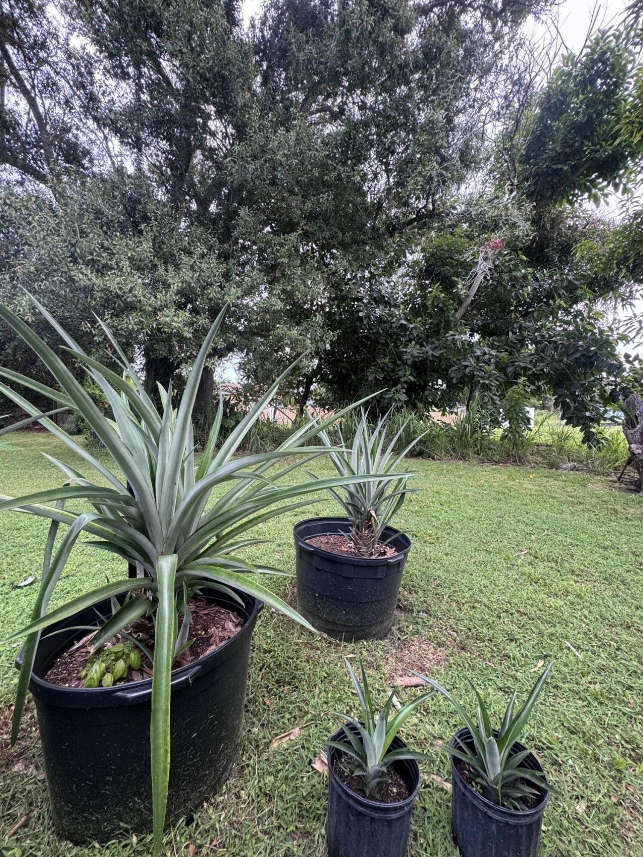 1112 Avenue E, Unit A, Fort Pierce, FL 34950 Photo