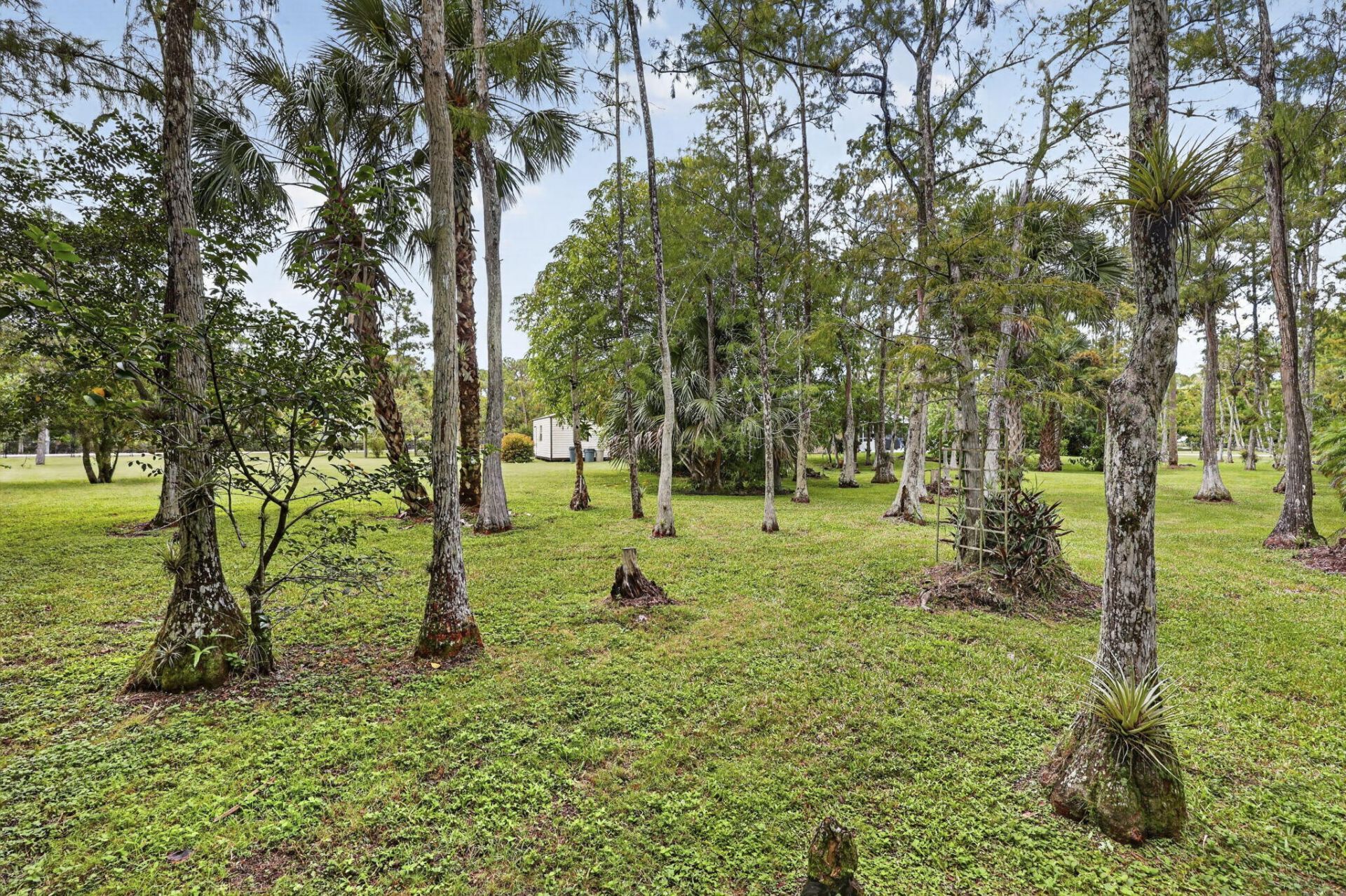 16477 Orange Boulevard, Loxahatchee, FL 33470 Photo