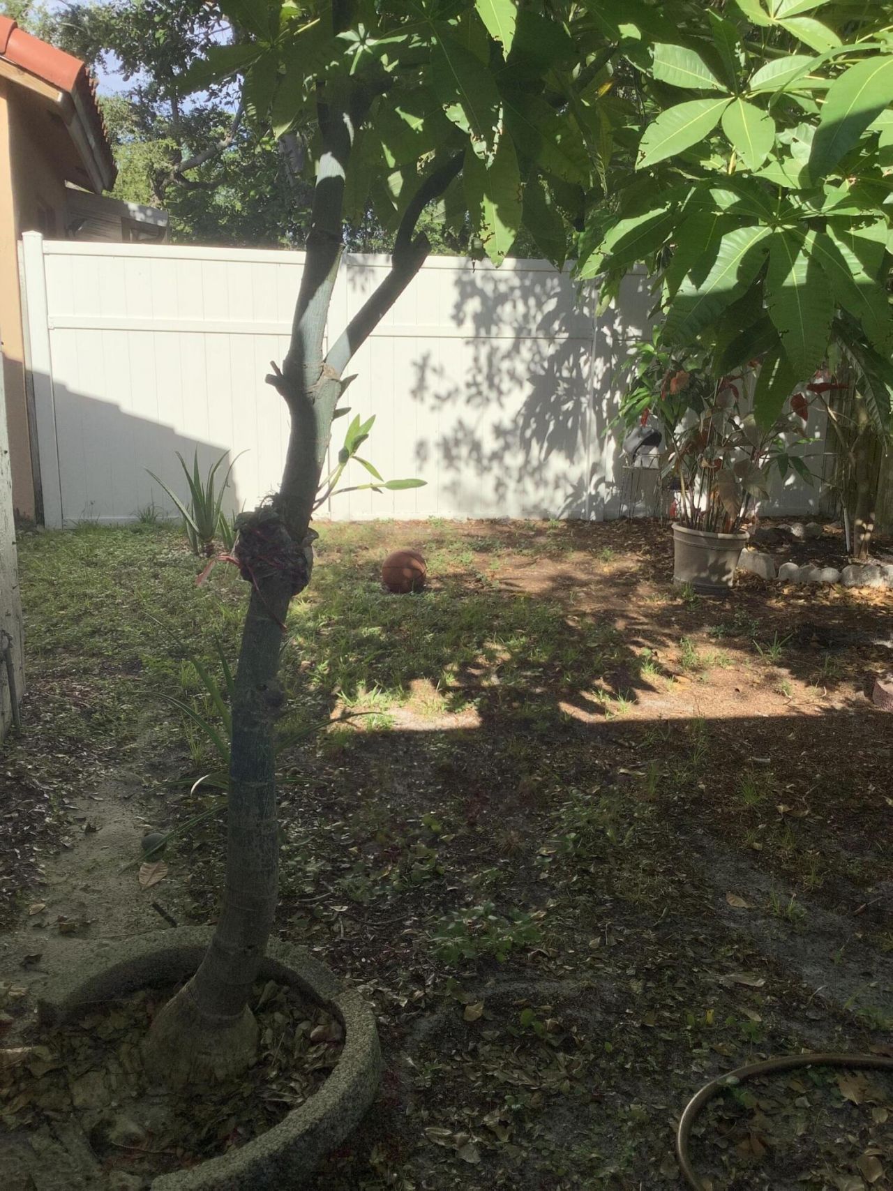 201 SW 98th Terrace, Pembroke Pines, FL 33025 Photo