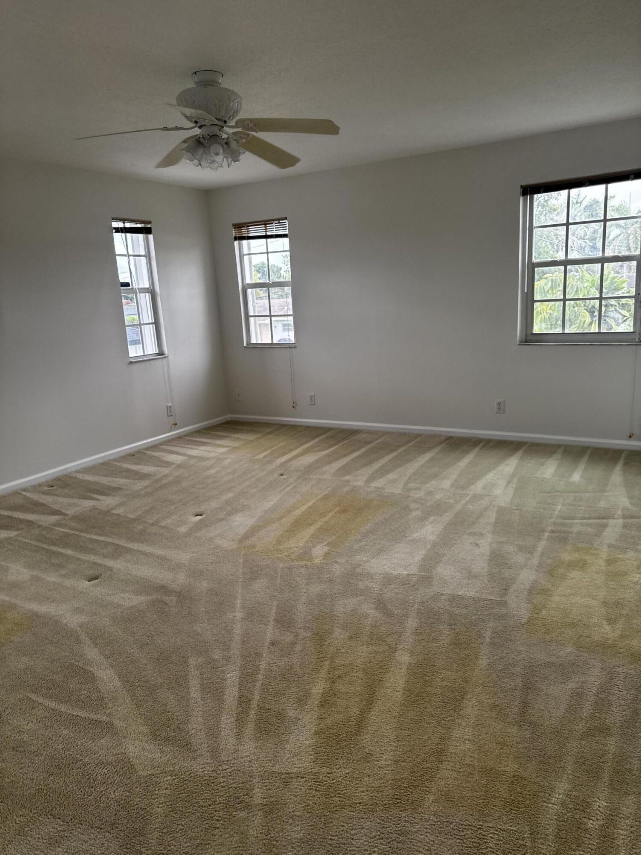 2320 NW 30th Way, Fort Lauderdale, FL 33311 Photo