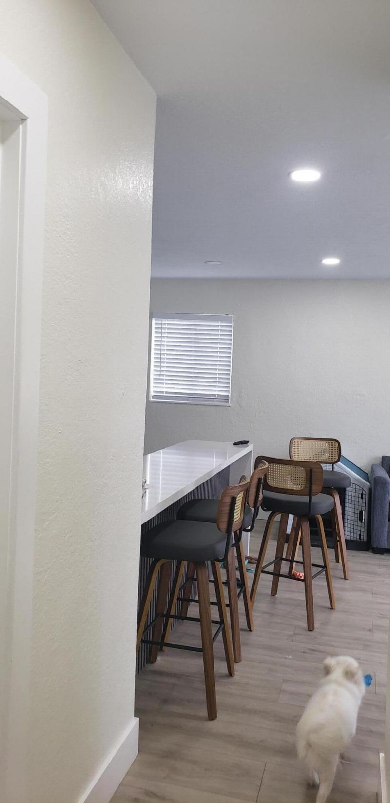 1520 N 68th Terrace, Hollywood, FL 33024 Photo