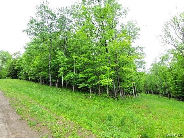 0 Cr-24- Lot 18 , Swain, NY 14884