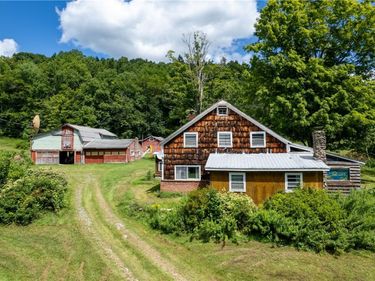 1563 Upper Perch Lake Road, Andes, NY 13731