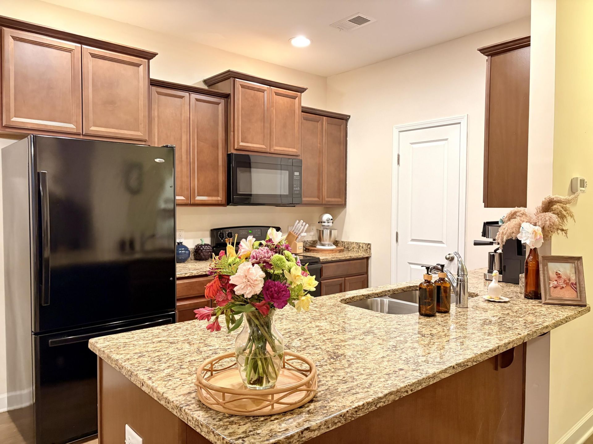 207 Buchanan Circle Photo 4