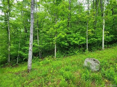0 Co Road 24- Lot 1 , Swain, NY 14884
