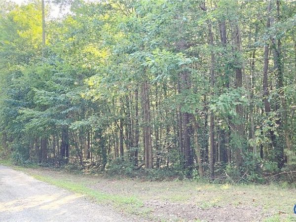 9-A-61 Springfield Road , Meherrin, VA 23954