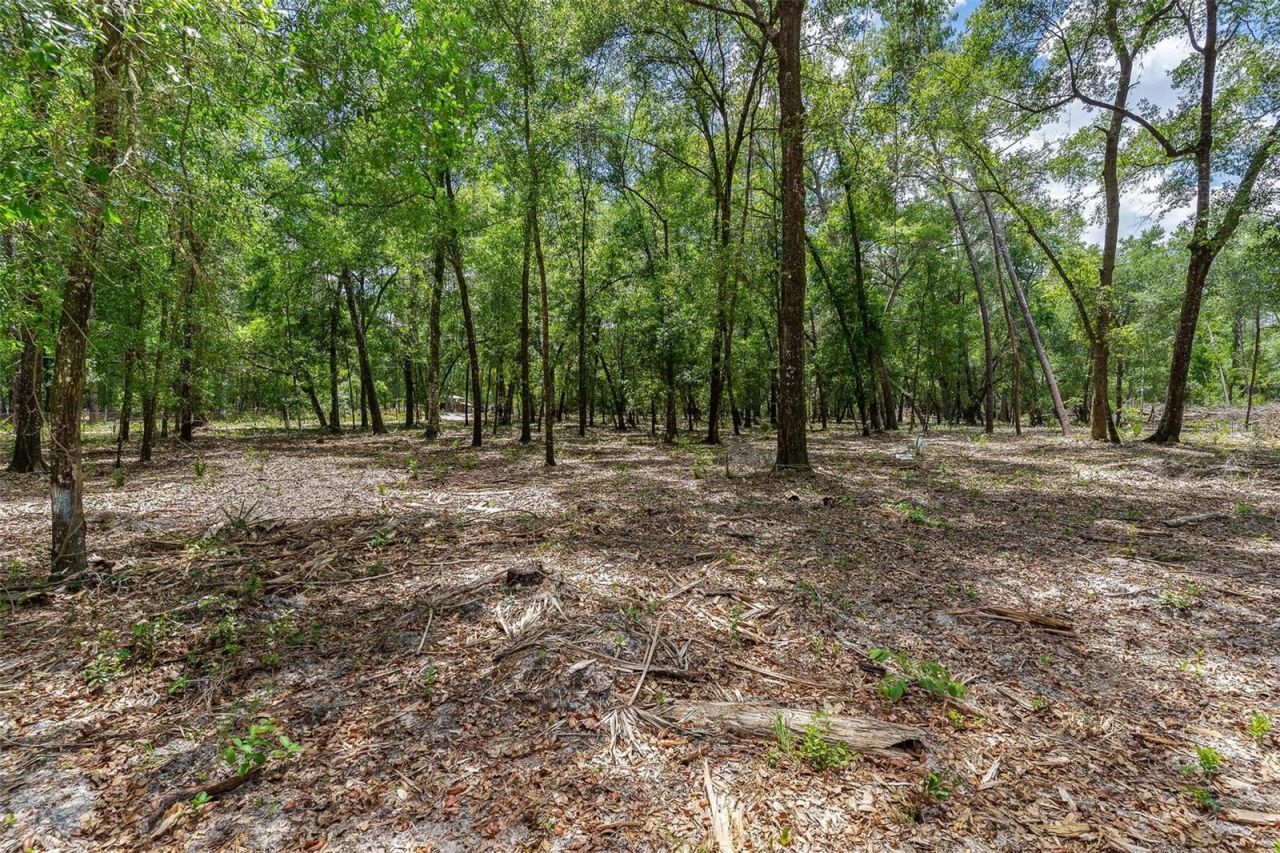 Se 152nd - Lot 16 (ravenswood Rd) Parcel B Place, Altoona, FL 32702 Photo