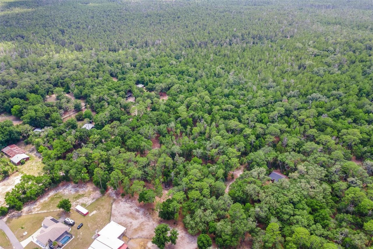 Se 152nd - Lot 16 (ravenswood Rd) Parcel B Place, Altoona, FL 32702 Photo