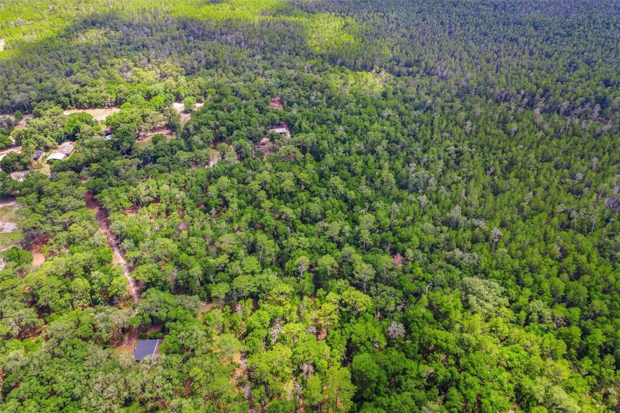 Se 152nd - Lot 16 (ravenswood Rd) Parcel B Place, Altoona, FL 32702 Photo