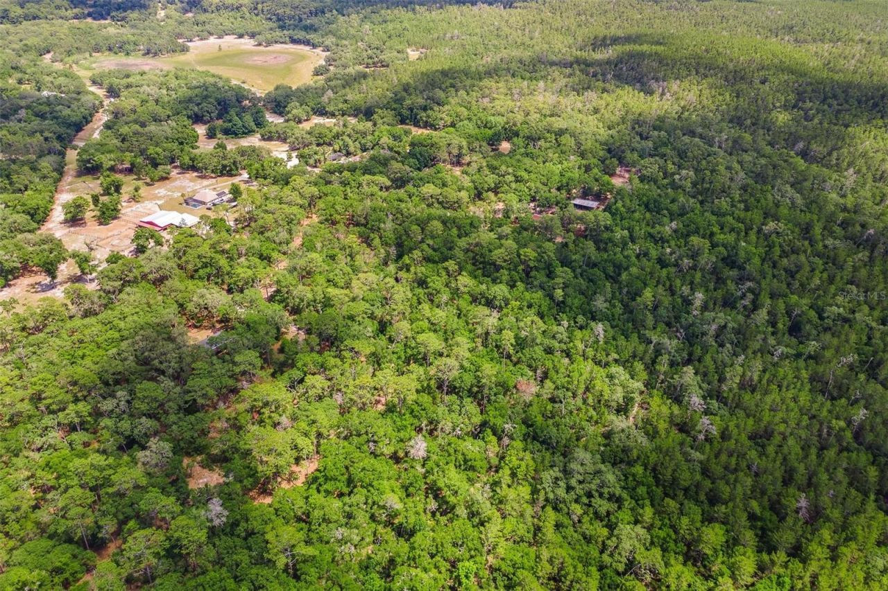 Se 152nd - Lot 16 (ravenswood Rd) Parcel B Place, Altoona, FL 32702 Photo