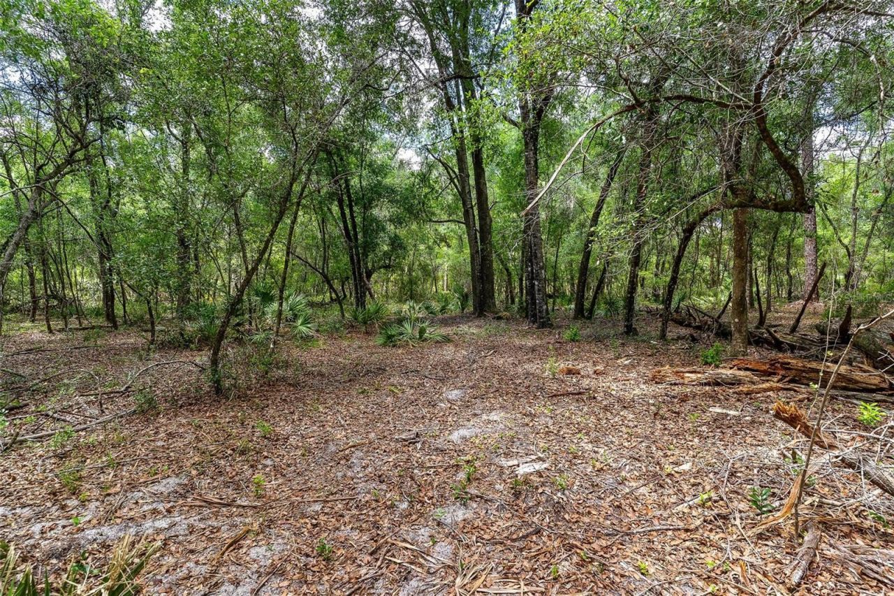 Se 152nd - Lot 16 (ravenswood Rd) Parcel B Place, Altoona, FL 32702 Photo