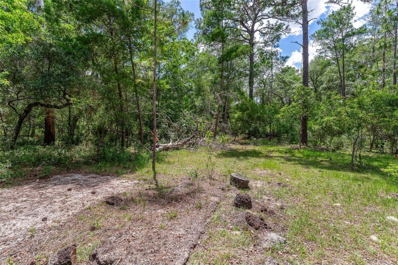 Se 152nd - Lot 16 (ravenswood Rd) Parcel B Place, Altoona, FL 32702 Photo
