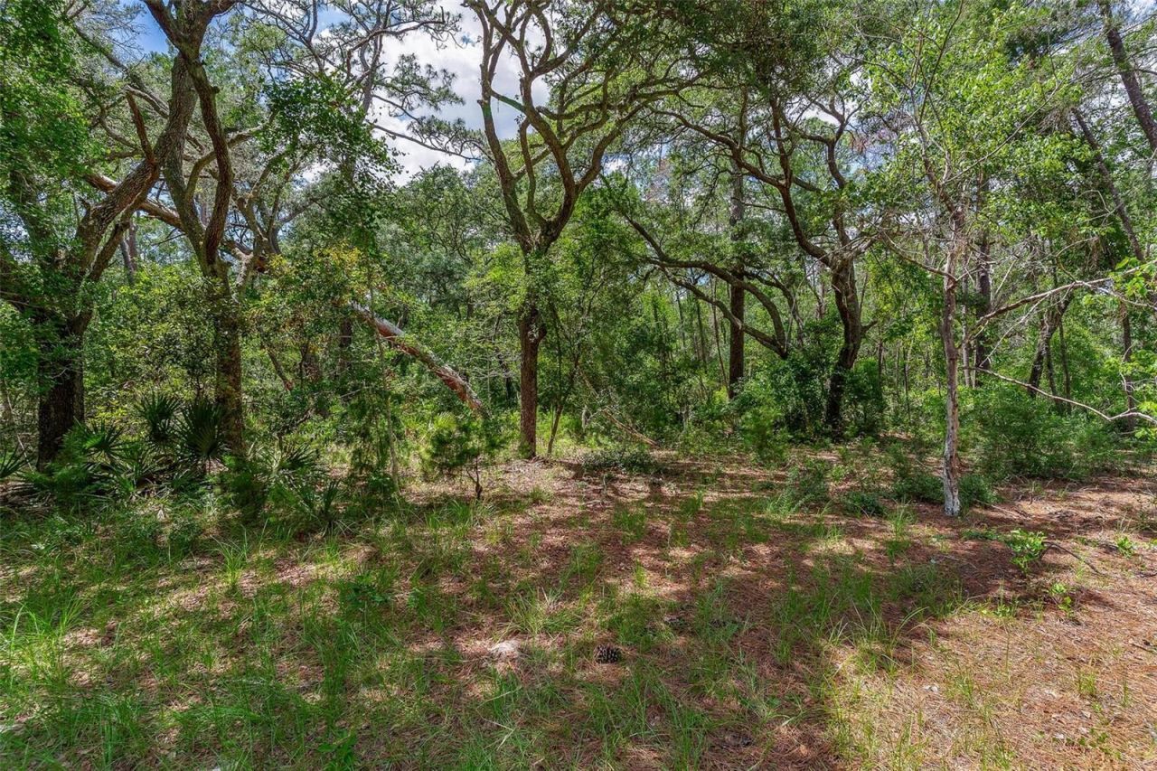 Se 152nd - Lot 16 (ravenswood Rd) Parcel B Place, Altoona, FL 32702 Photo