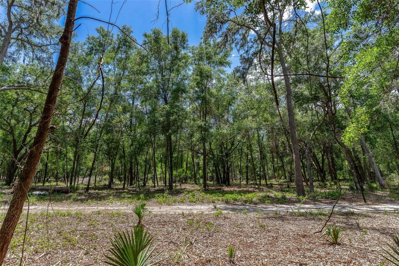 Se 152nd - Lot 16 (ravenswood Rd) Parcel B Place, Altoona, FL 32702 Photo