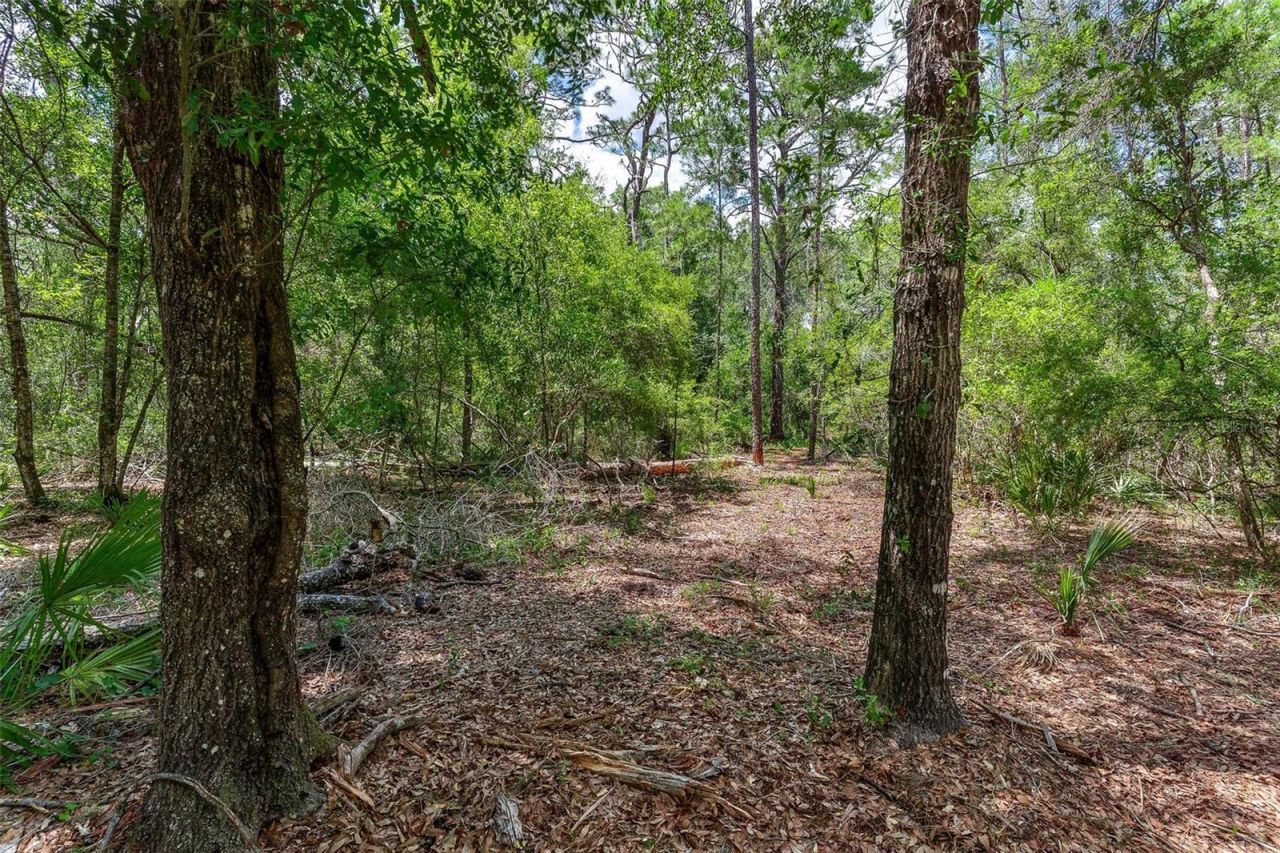 Se 152nd - Lot 16 (ravenswood Rd) Parcel B Place, Altoona, FL 32702 Photo